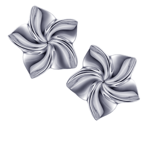 PENDIENTES PLATA ASPA